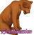 lionobsession