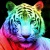 RainbowMeg