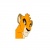 royalvif