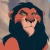 scar222