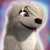 sky15