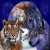 wildash99
