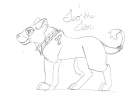 Leo the lion
