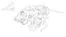 my weird tiger
