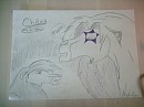 chaka, fils de kovu.