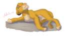 Sleepy Simba