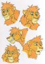 Lion Faces