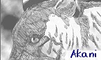 akani