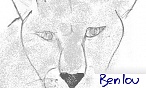 benlou