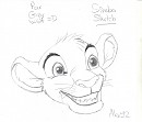 Simba - Projet Remerciements