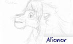 alionor