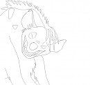 Shenzi !!