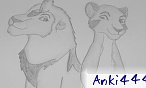 anki444