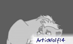 GreyAmy
