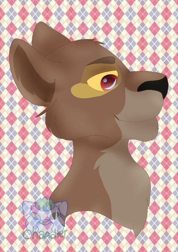 Cubbie Kirita 