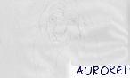 AURORE13