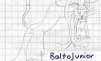 BaltoJunior