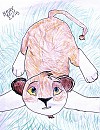 Draw Zazu Prize for Lionobsession: Bakari