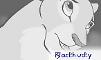 blackhusky