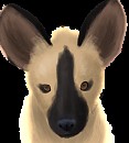 Pup jeraha 