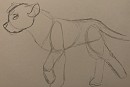 Aasha doodle