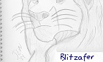 Blitzafer