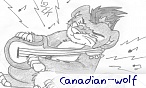 canadian_wolf