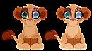 Kami New Design