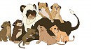 A Ton of Cubs