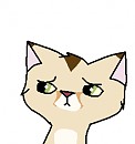 Possible New Sand Cat