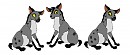 Little Hyenas