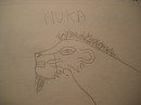 Nuka profil