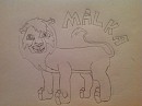 Malka Adolecent