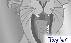 Tayler