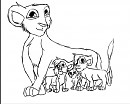 Kiara's cubs