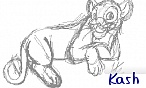 Kash Kash