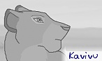 Kavivu