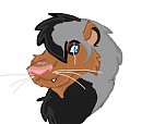 Kodi head shot