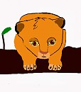 simba b�b�