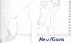 Aleu/Kiara