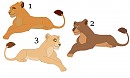 Lioness Adoptables CLOSED