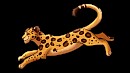 Badili - Redesigned Badili - Redesigned