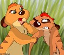 Timon and Ma