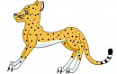 Kaya's cheetah form