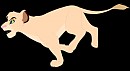 Rakhi Hunting
