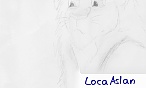 LocaAslan