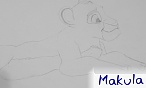 makula