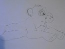 simba petit