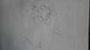 Requ�te de Grey Wolf 
