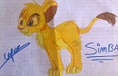 simba au feutre